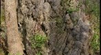 Travertine-Tumbling Run