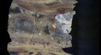 Snowball Earth Educational Rock Sample Suite TS-3