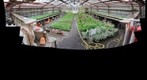 Historische Tuin Aalsmeer