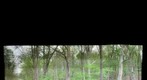 MobileCityDump_March30