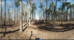 Dairy Bush GigaPan - 136 - April 04 2012