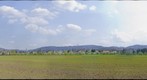 Fields near Riehen