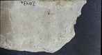 Diptera 2043a