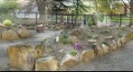 Rock Garden