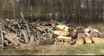 The Wood Pile - 500mm Mirror Lens