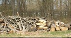 The Wood Pile - 300mm Nikkor Zoom
