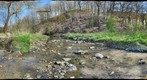 Frick Park: Human impacts on water quality