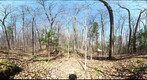 Shaw Woods - 120408