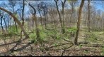 Mission Ground Truth Forestry site