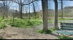 Frick Park - Nine Mile Run Stream