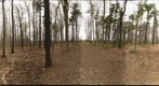 Dairy Bush GigaPan - 137 - April 11 2012