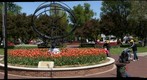 More tulips in Pella Iowa
