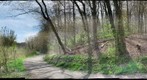 Meadow, Edge and Interior Forest habitat in Frick Park