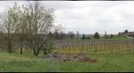 Chateau du Trichot