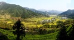 Wu Yuan - Jiang Ling