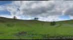 Cattle and Clouds
