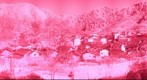 Wu Yuan - Shi Cheng (Infrared)