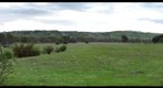 Olivina Lower Land