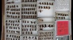 Tabanidae 41