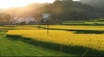 Wu Yuan - Road Side