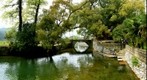 Wu Yuan - Ancient Camphor Garden in Yan Tian Village