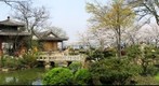 Wu Xi - Yuan Tou Zhu (2)