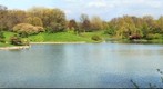 Chicago - Botanic Garden (2)
