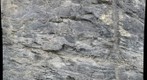 Upclose, small-scale folding, Patterson Creek Mountain Anticline WV55