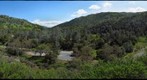 Cedar Mountain and Arroyo Del Valle