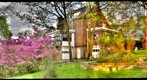 Backyard - A GigaPan Game
