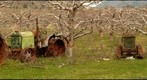 Parson's Fruit Stand, Keremeos, BC