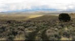 Diamond Flats