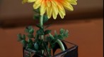 Flower Test GigaPixel