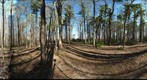 Dairy Bush GigaPan - 138 - April 18 2012