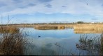 Lake of Ivars-III