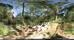 CR1 2012 04 18