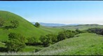 Spring on Morgan Territory Road