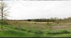 Bioswales April 24, 2012
