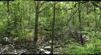 Broad Run