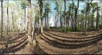 Dairy Bush GigaPan - 139 - April 25 2012 