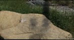 Fauquier Formation Outcrop