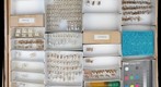 Dixidae, Simuliidae, Blephariceridae, and Psychodidae 1