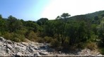 Alonnisos landscape