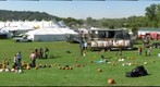 Annual Pumpkin Festival, Milton WV