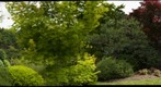 Shaw's Garden