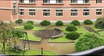 garden in the dormitory