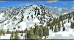 2012 - Alta Bark Beetle Survey - Grizzly v1