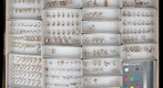 Culicidae 21