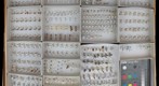 Culicidae Receiving 3