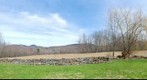 Early Spring